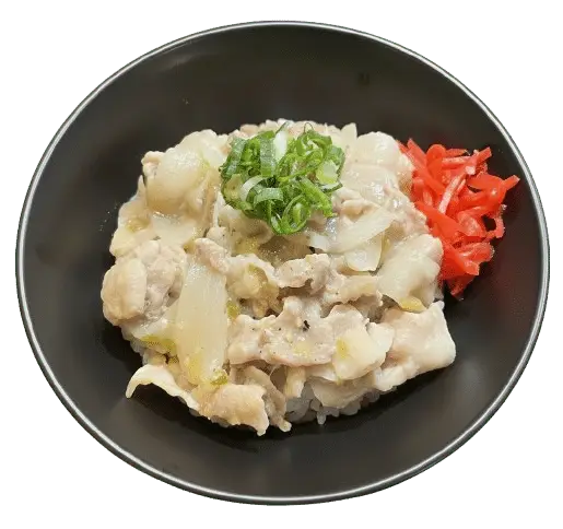 Pork Bowl with Salt & Green Onions