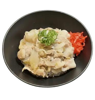 Pork bowl topped with salt and green onions